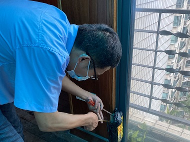 沙湾上门治白蚁中心正确灭杀白蚁的方法